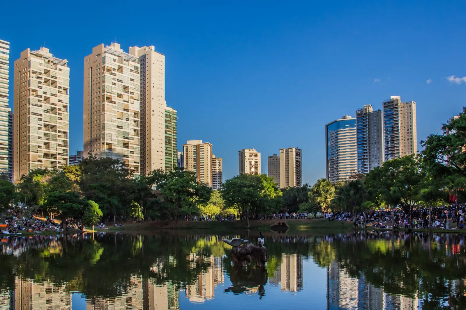 CIGAM expande neg�cios e consolida presen�a na regi�o de Goi�s