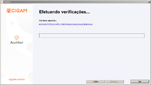 AuditorCIGAM3.png