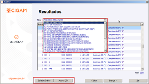 AuditorCIGAM5.png