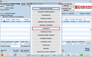 CL Orçamento Multiplas Formas Pagamento 8.png