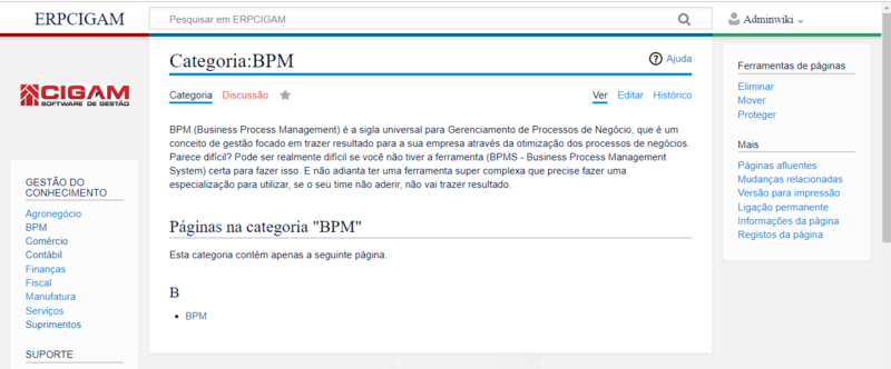 Arquivo:Categoria bpm 4 criada.png