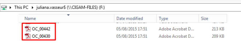 Arquivo:ComoFazer GerarEnviarPDFOrdemCompra16.png