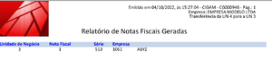 Cria NFE NFS Filial Relatorio NFe.png