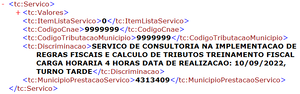 DiscriminacaoNFSe4.png