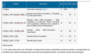 EFD Contribuicoes 0111 5.jpg