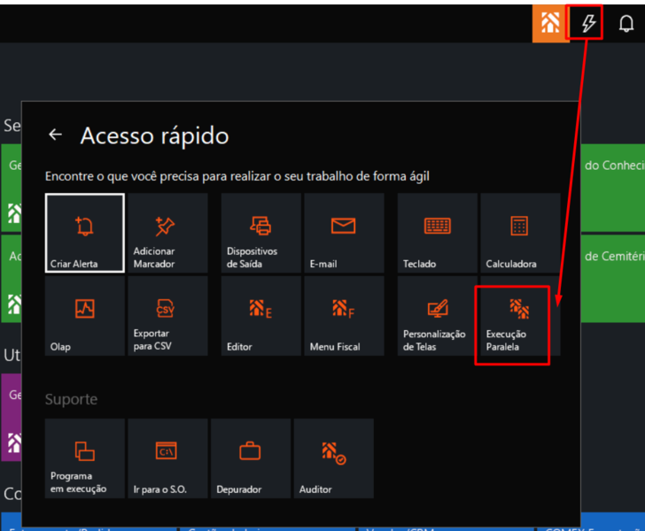 Arquivo:Execução paralela atraves dos RAPIDO.png