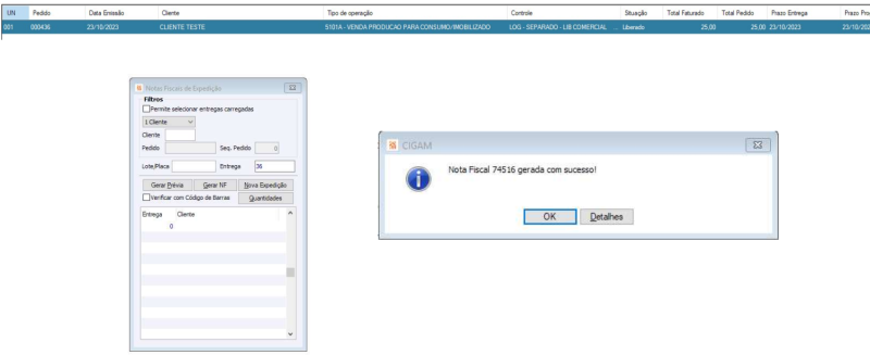 Arquivo:Faq ME faturParcial06.png