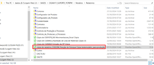 Faq relatorioprocessando 003.png