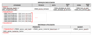 Impr laudo OS 007.png