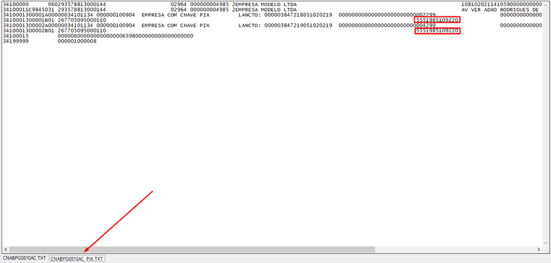 Arquivo:Layout informando chave pix.png