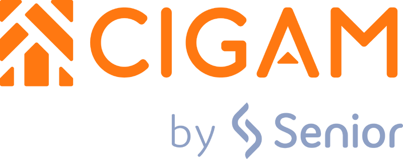 Arquivo:Logo cigam.png