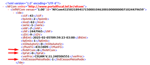 NFe 4.0 89.png