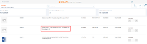 Portal Cliente 13.png