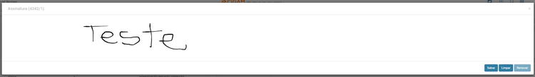 Assinatura Atividade