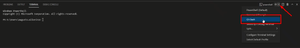 Terminal Git Bash.png