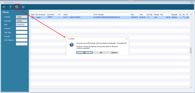 Arquivo:Transacoes PIX Consulta.png