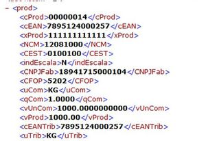 XML segmentada.jpg
